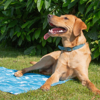 Ice Paws Cooling Mat