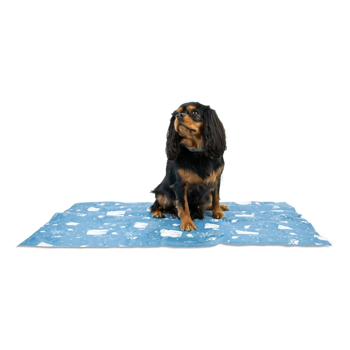 Ice Paws Cooling Mat