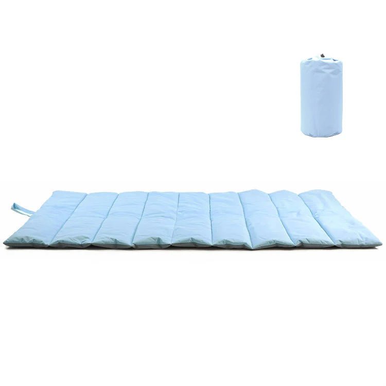 Water - Resistant Pet Travel Mat - Baby Blue