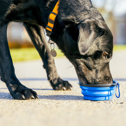 Collapsible Silicone Dog Bowl 350ml - Blue