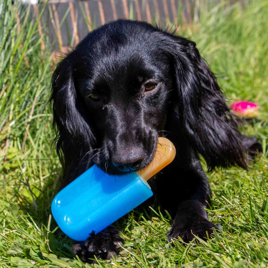 Small Bite Ice Lolly Cooling Teethers for Dogs and Puppies