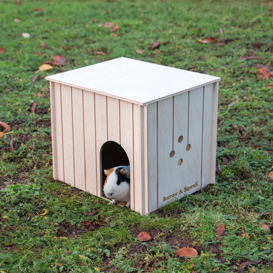 Medium Wooden Pet Cabin
