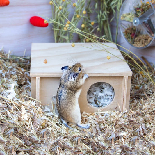Small Wooden Pet Hide