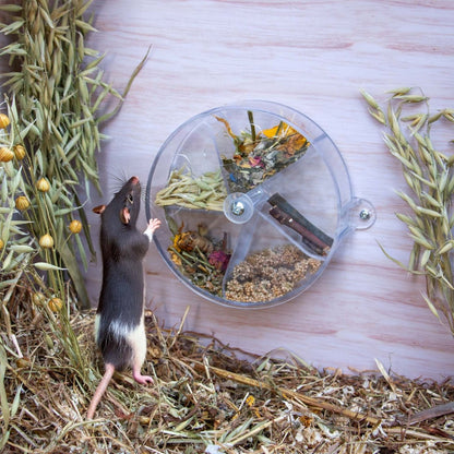 Small Animal Foraging Puzzle