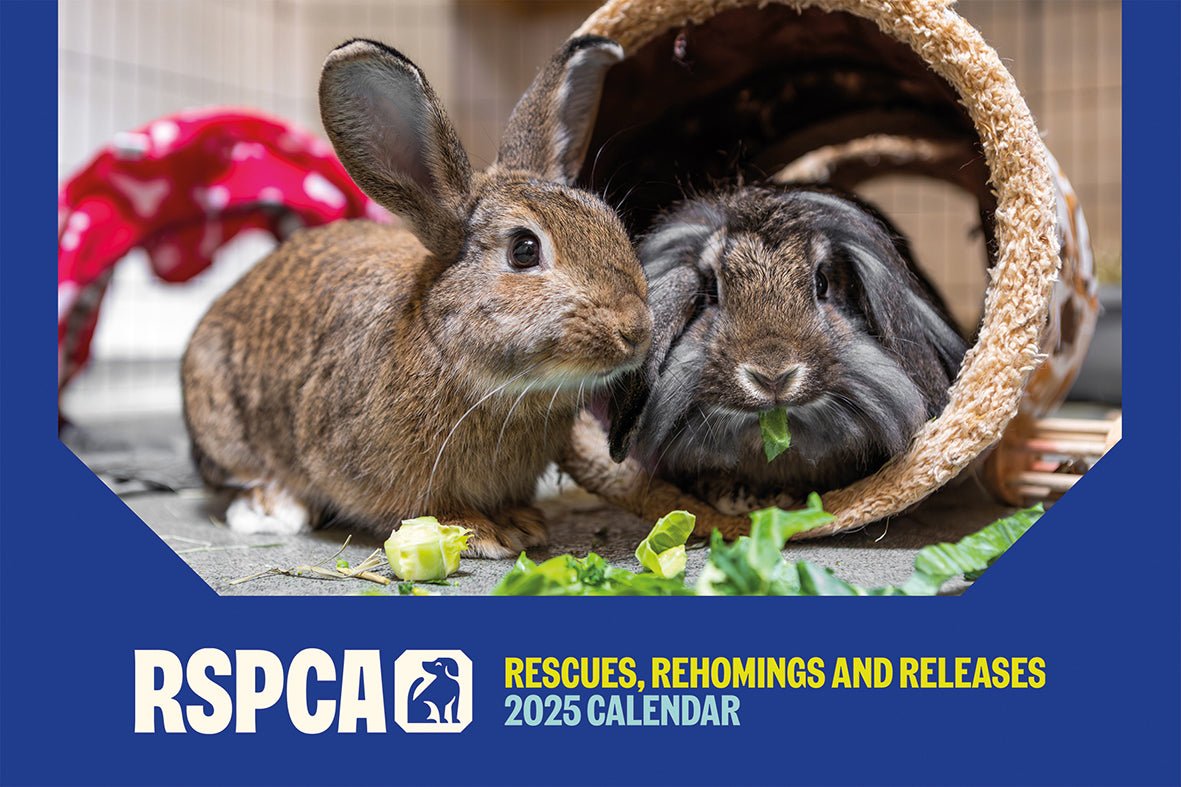 RSPCA Rescue Animals Landscape Wall Calendar 2025