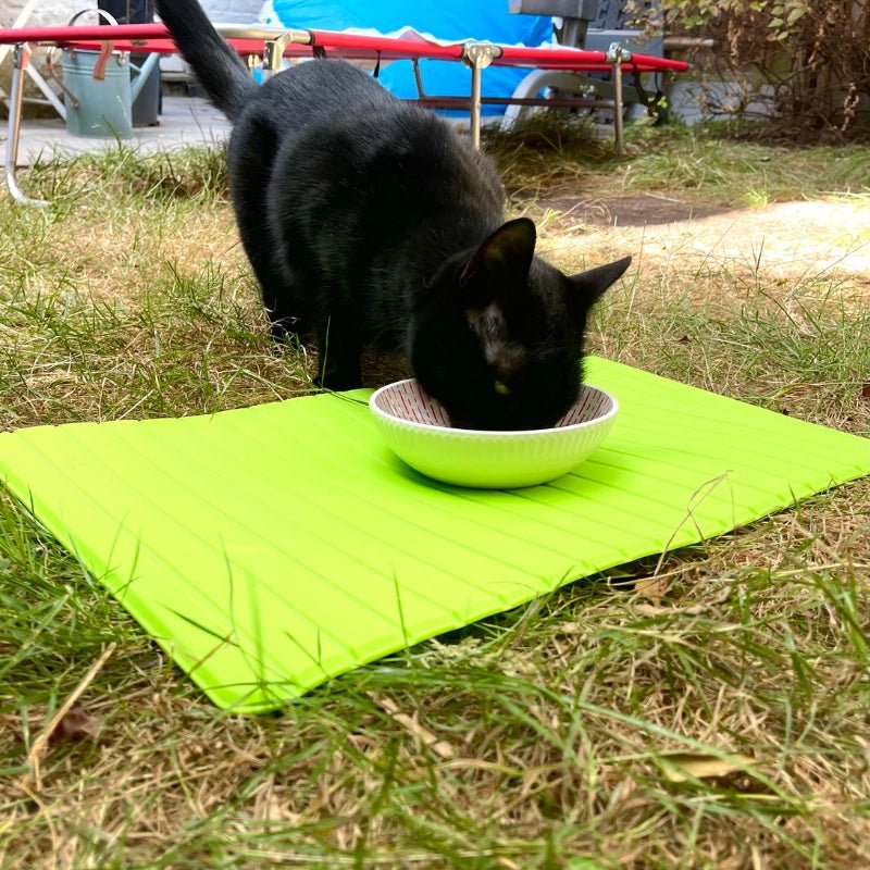 Wipeable Non Slip Food Bowl Mat