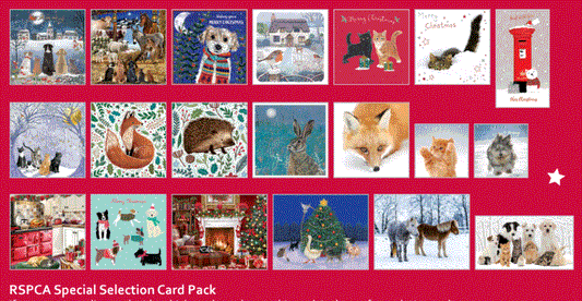 Mixed Bundle Bargain Selection of Christmas Cards (20 packs of 10 cards)