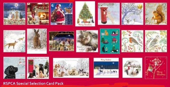 Mixed Bundle Bargain Selection of Christmas Cards (20 packs of 10 cards)