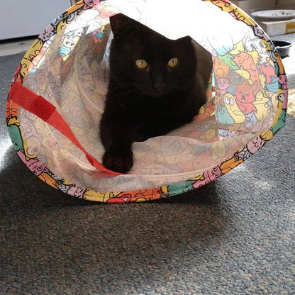 Mymeow Playful Fabric Cat Tunnel, 64cm