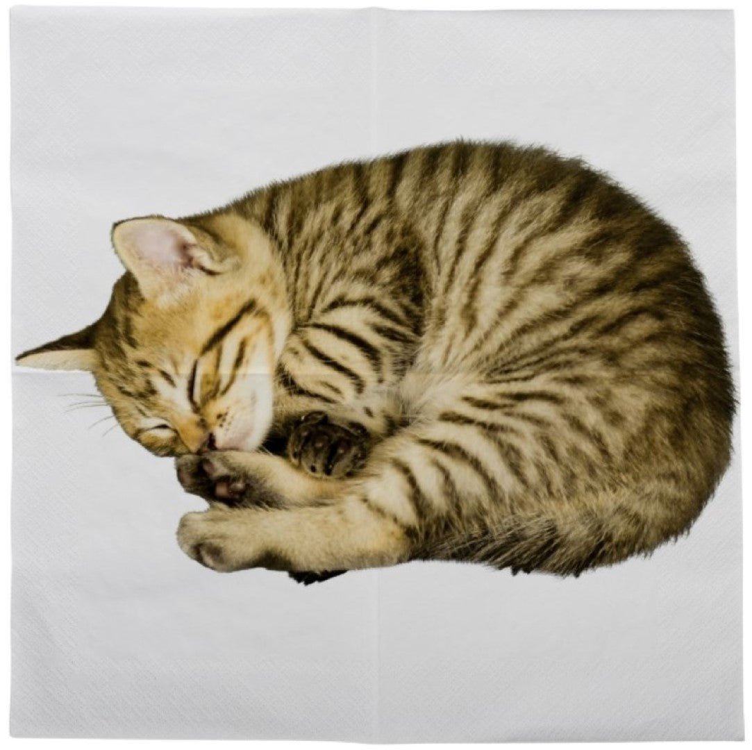 Paper Napkins - Kitten