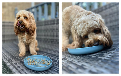 Silicone Slow Feeder Bowl - Orange