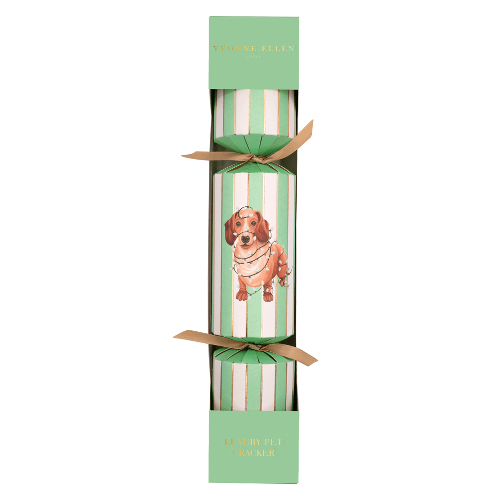 Dog Pet Christmas Cracker