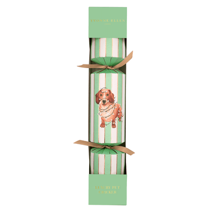 Dog Pet Christmas Cracker
