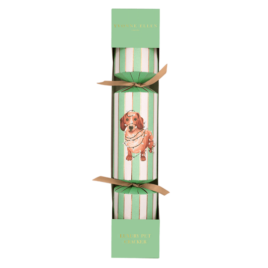 Dog Pet Christmas Cracker