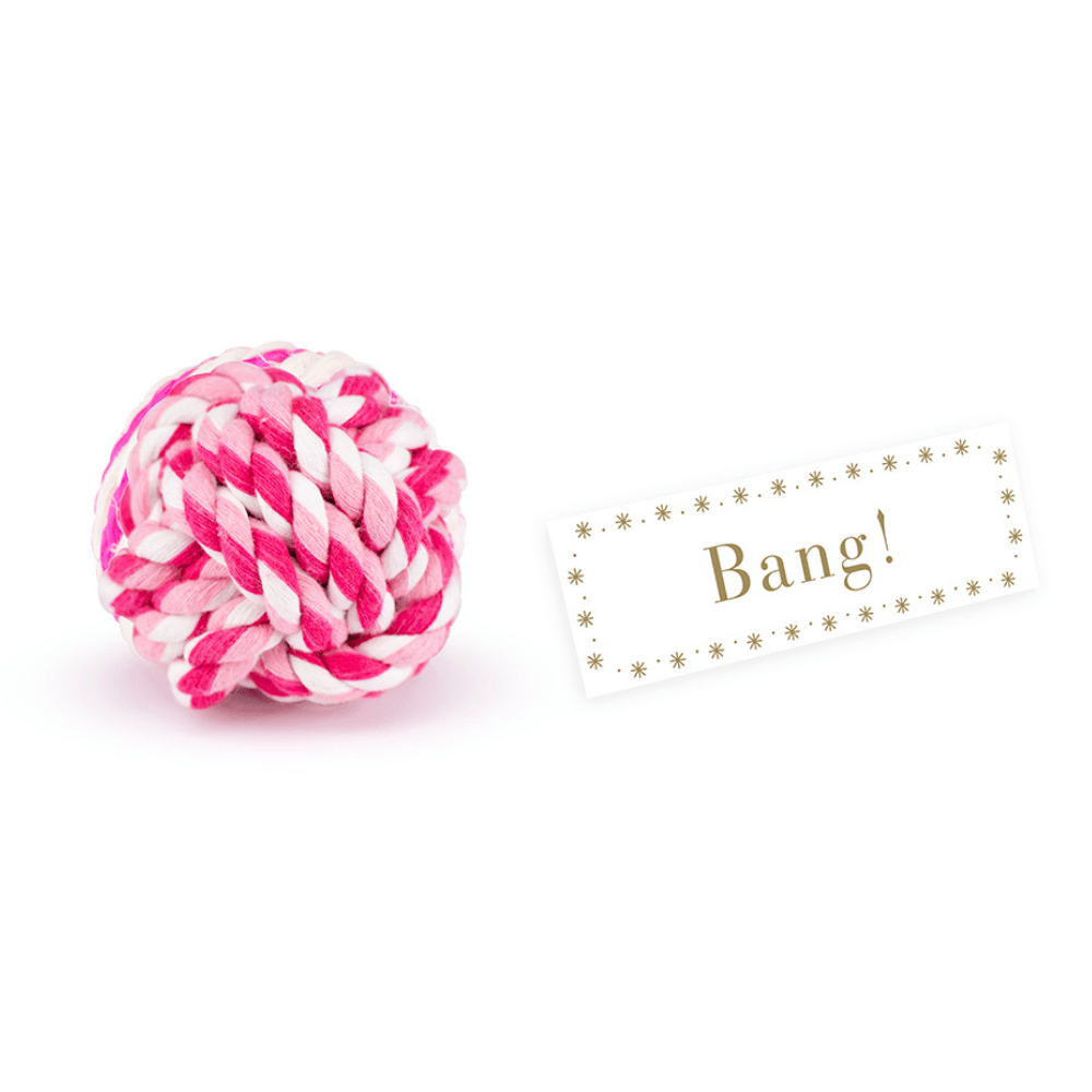 Dog Pet Christmas Cracker