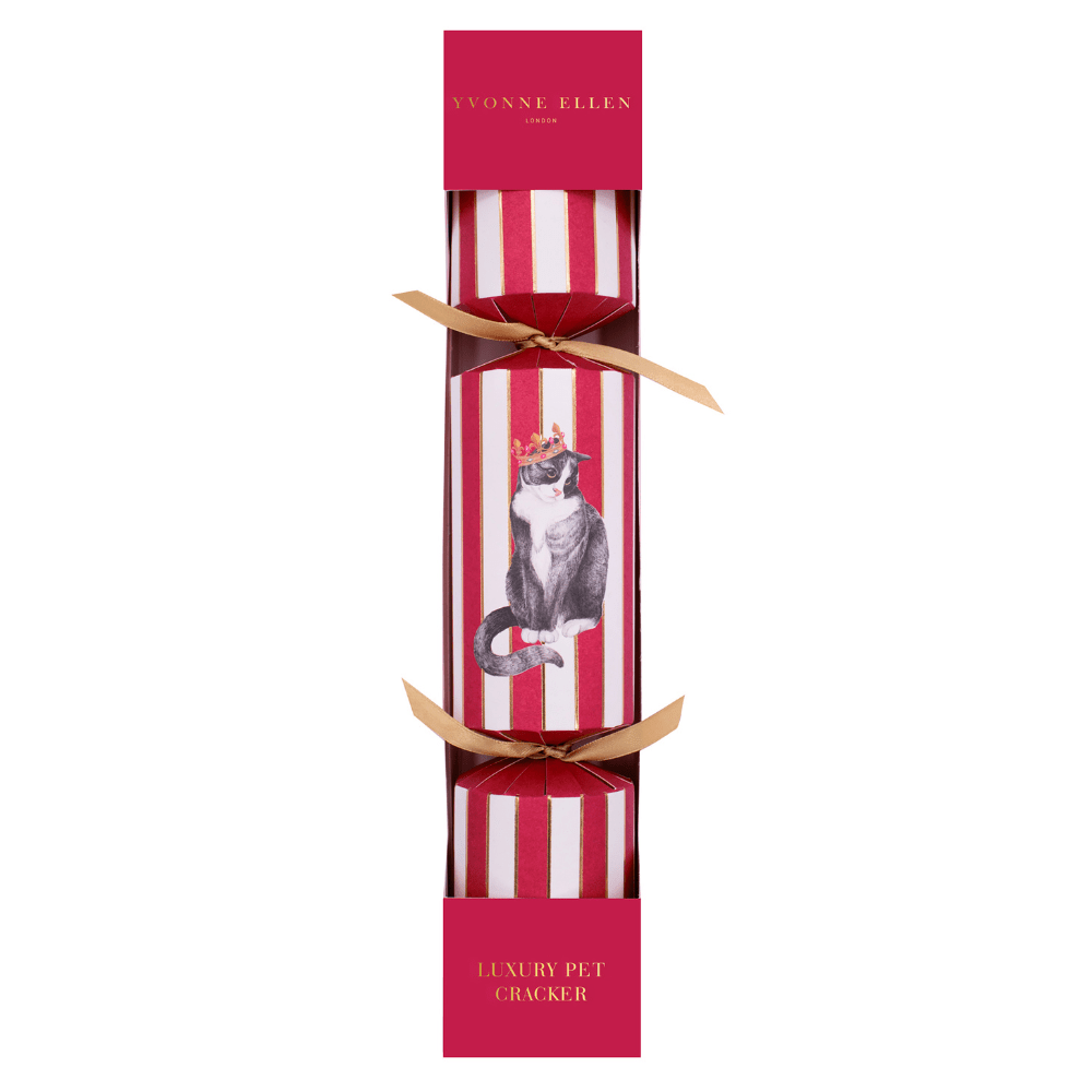 Cat Pet Christmas Cracker