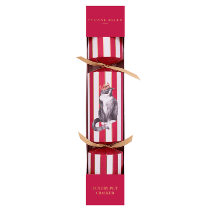 Cat Pet Christmas Cracker