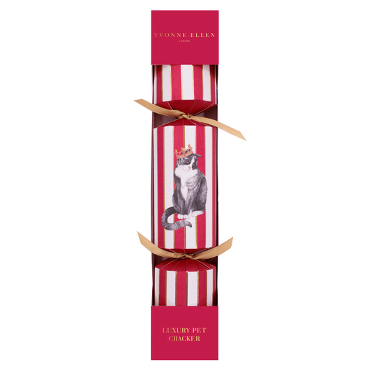 Cat Pet Christmas Cracker