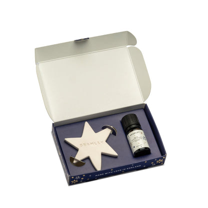 Bramley 'The North Star' Infused Hanging Tree Decoration