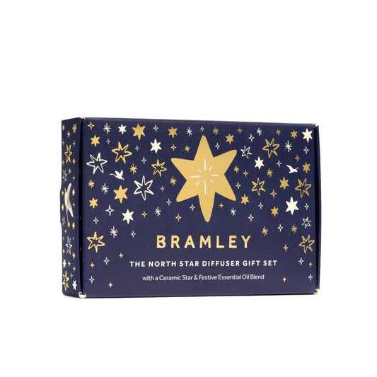 Bramley 'The North Star' Infused Hanging Tree Decoration