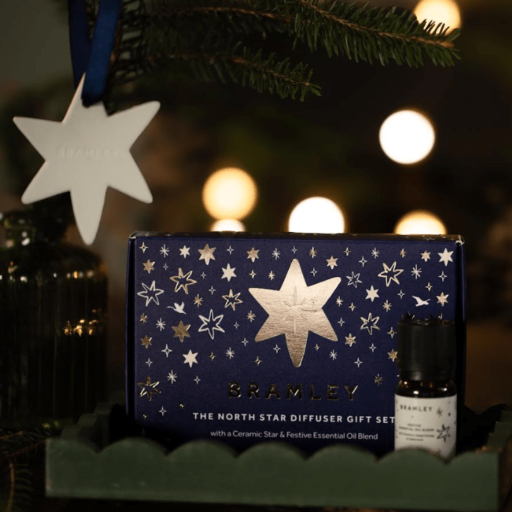 Bramley 'The North Star' Infused Hanging Tree Decoration