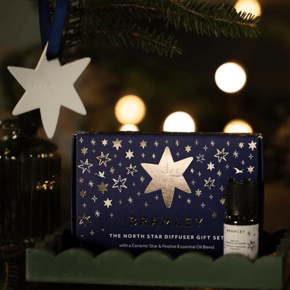 Bramley 'The North Star' Infused Hanging Tree Decoration