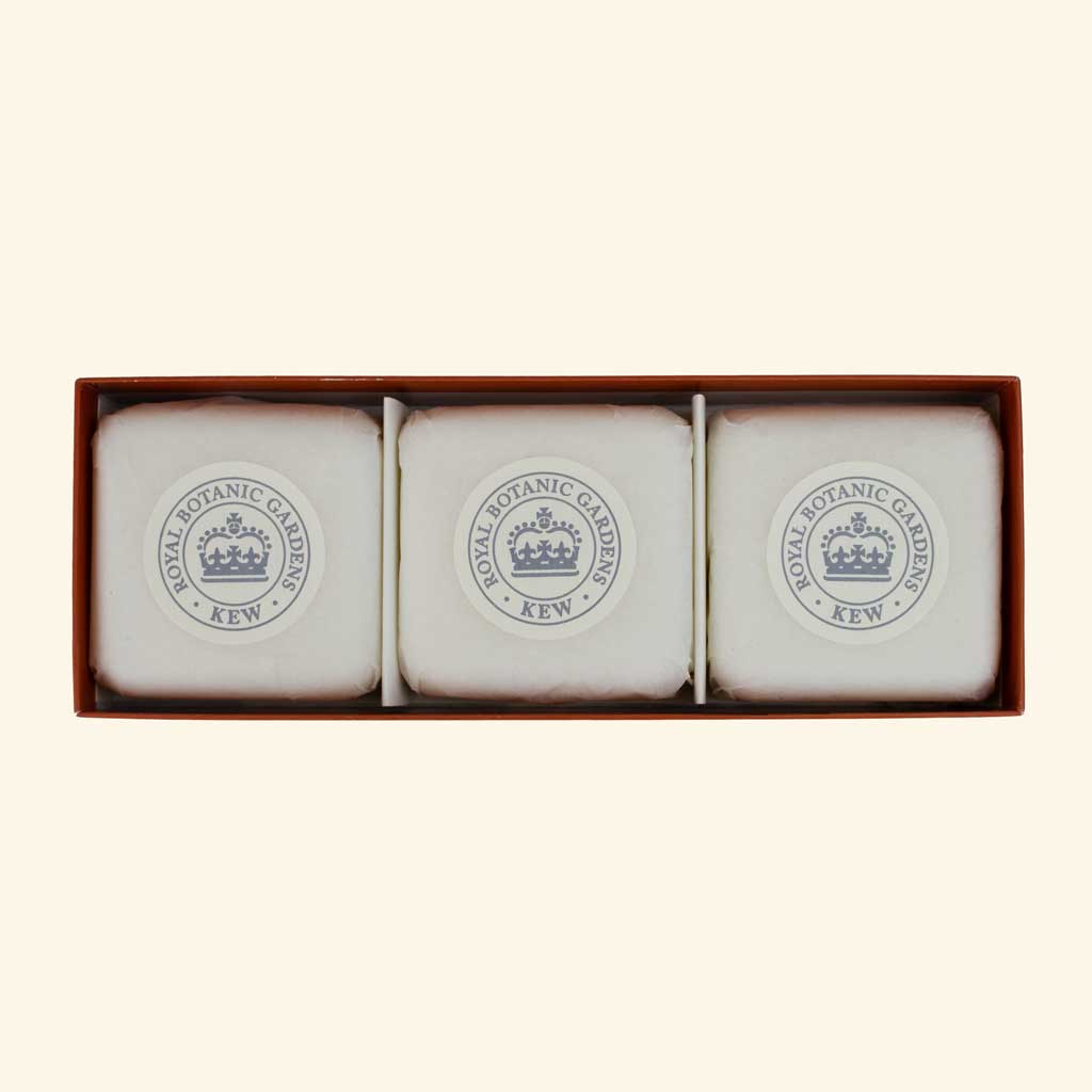 Kew Gardens Bergamot & Ginger Triple Soap Gift Box