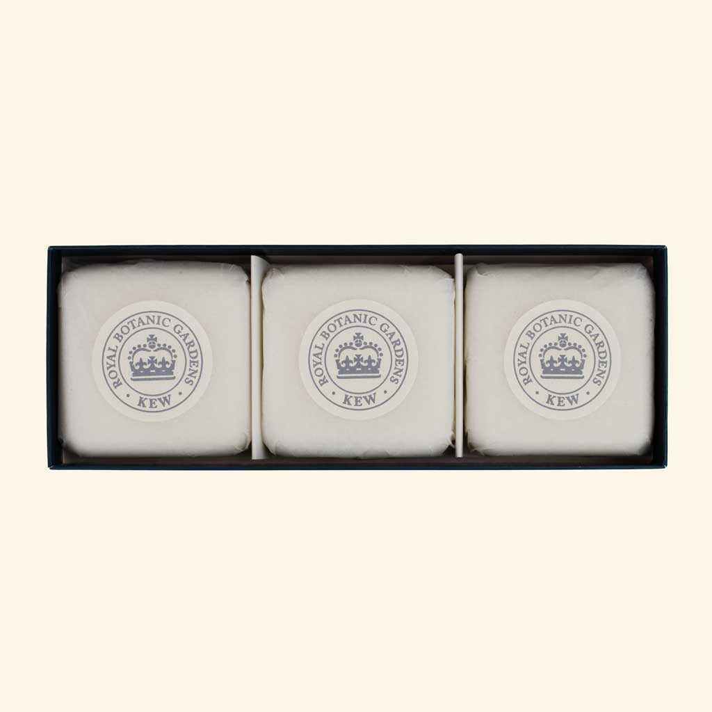 Kew Gardens Jasmine Peach Triple Soap Gift Box