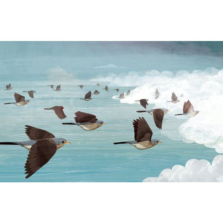 Michael Morpurgo: Coming Home