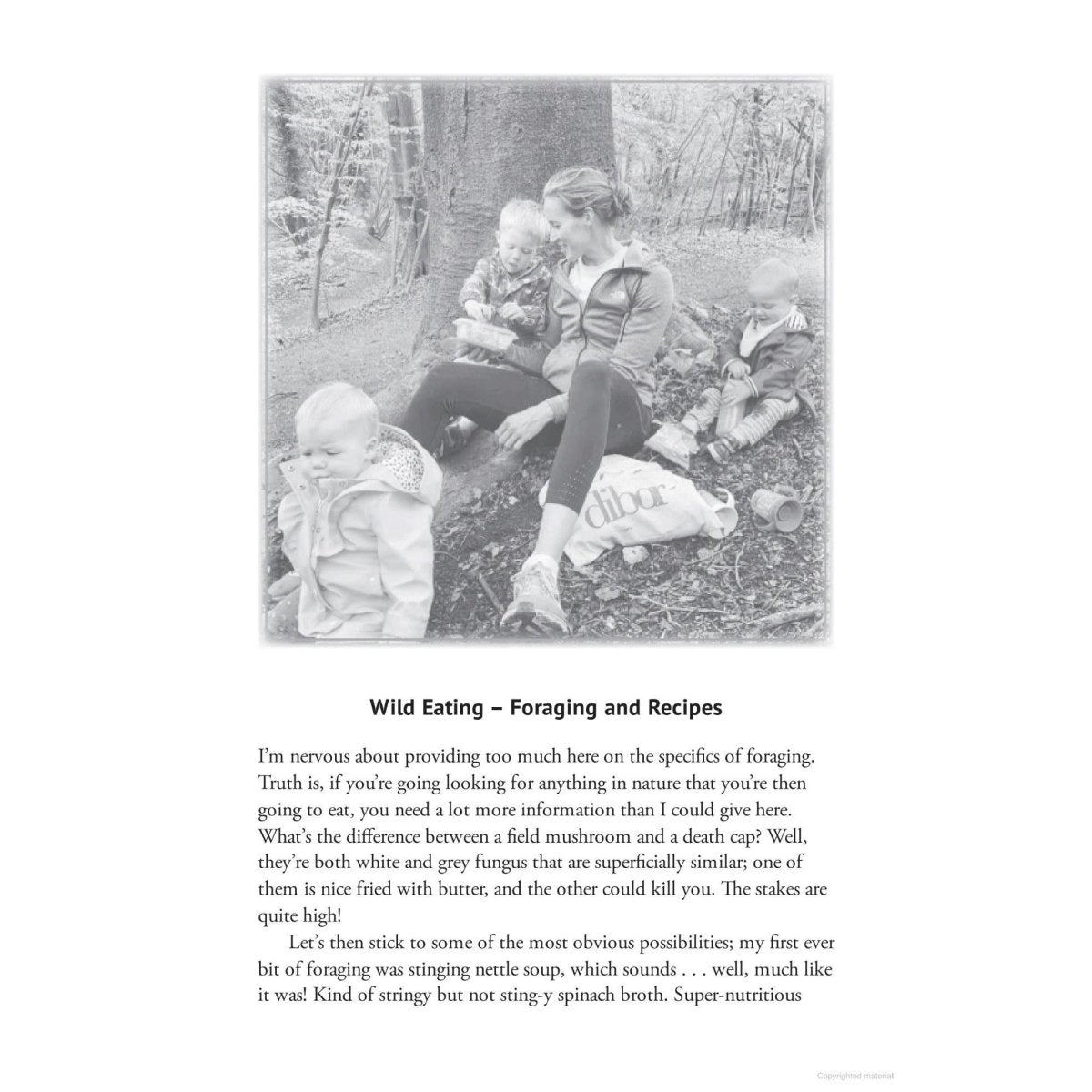 Steve Backshall: Wildlings