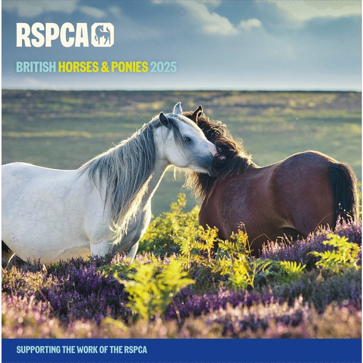 Calendars and Diaries 2025 RSPCA Shop