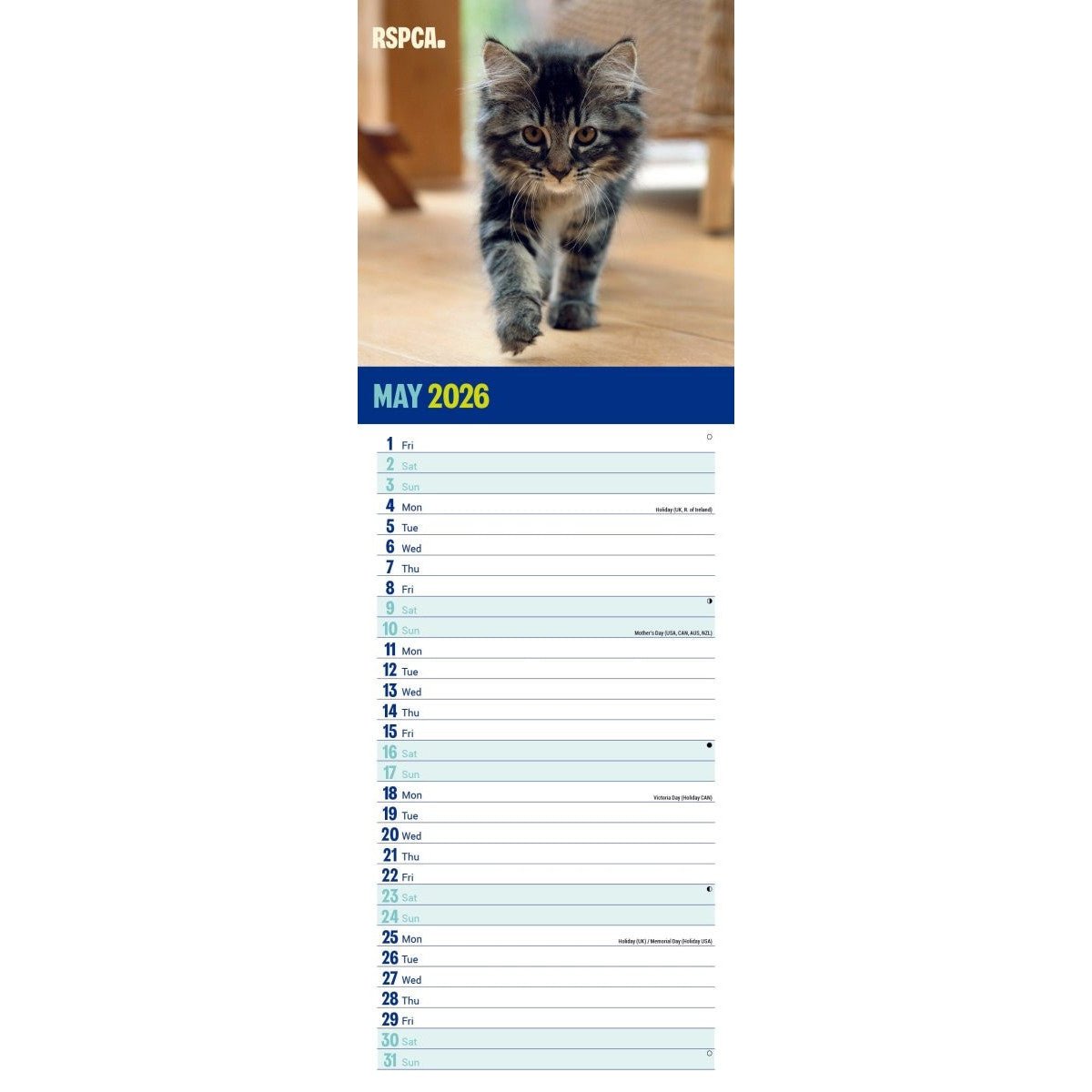 RSPCA I Love Kittens Slim 12 month Wall Calendar 2026