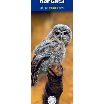 RSPCA British Wildlife Slim Calendar 2026