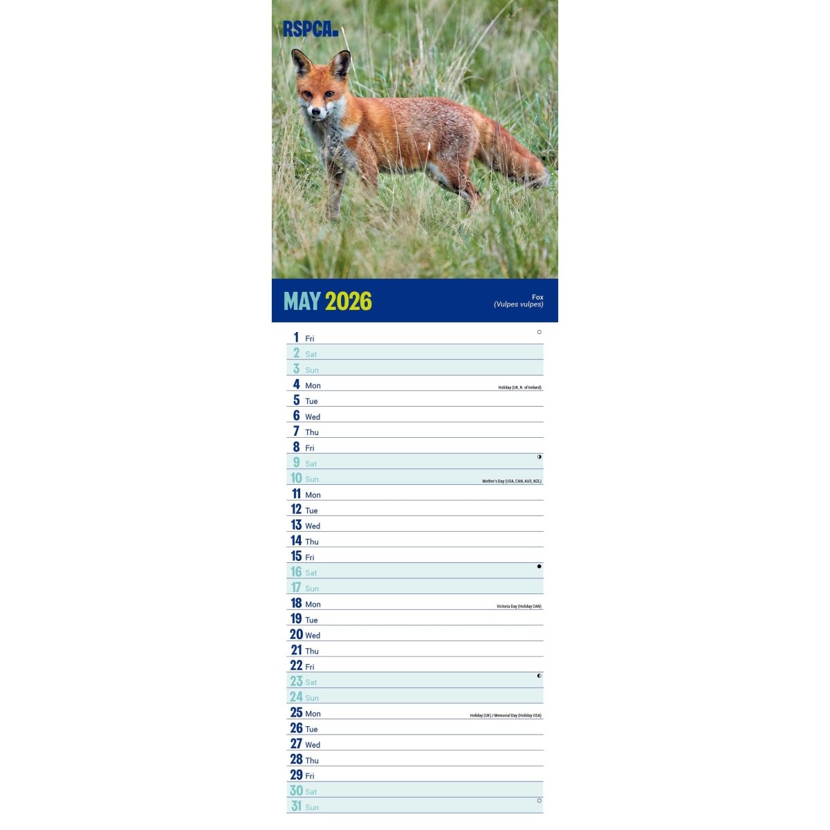 RSPCA British Wildlife Slim Calendar 2026