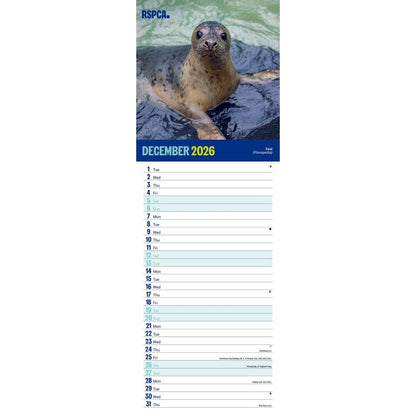 RSPCA British Wildlife Slim Calendar 2026