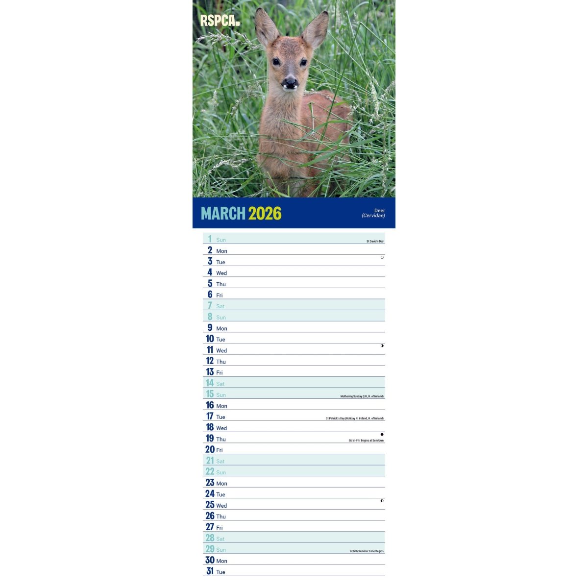 RSPCA British Wildlife Slim Calendar 2026