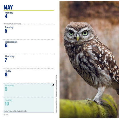 RSPCA Slim Pocket Diary 2026