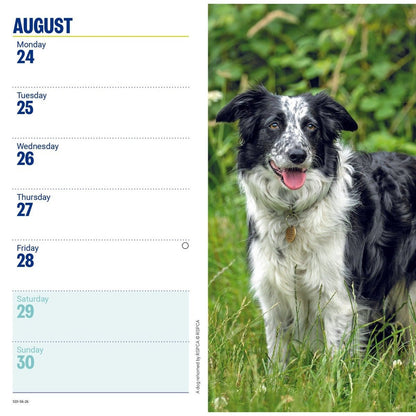 RSPCA Slim Pocket Diary 2026