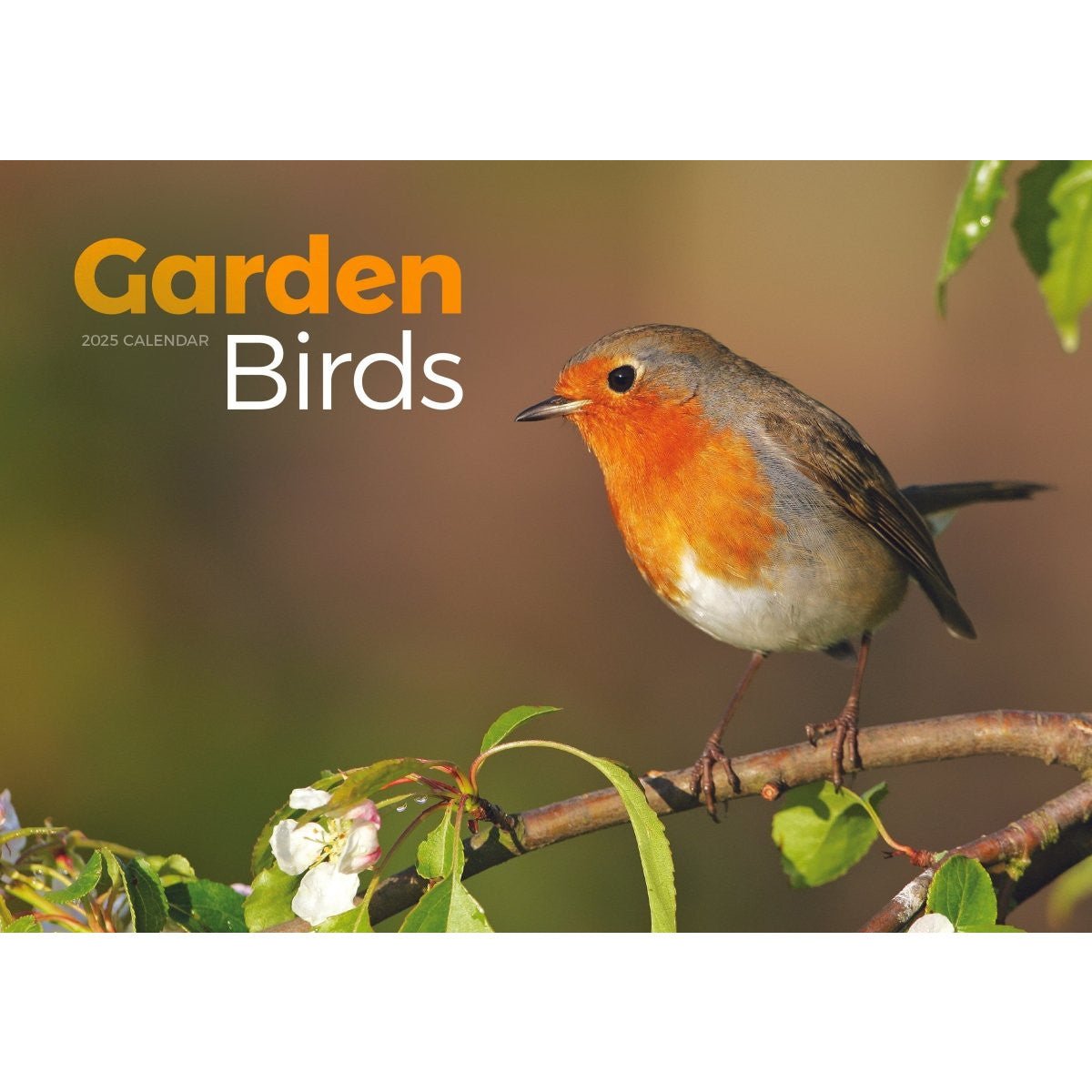 Garden Birds Square Wall Calendar 2025