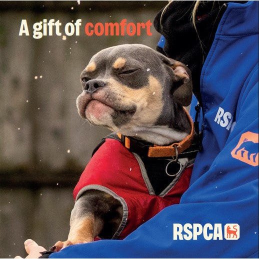 A Gift of Comfort RSPCA Dog Charity Gift Card £10