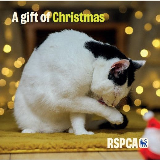 A Gift at Christmas RSPCA Charity Gift Card £15
