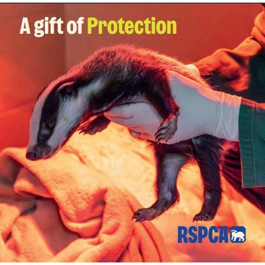 A Gift of Protection RSPCA Charity Gift Card £50