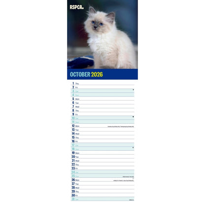 RSPCA I Love Kittens Slim 12 month Wall Calendar 2026