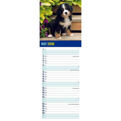 RSPCA I love Puppies Slim 12 Month Calendar 2026