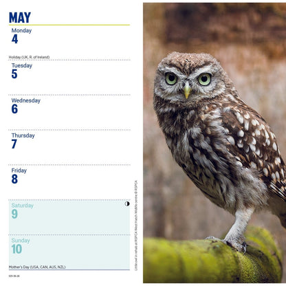 RSPCA Slim Pocket Diary 2026