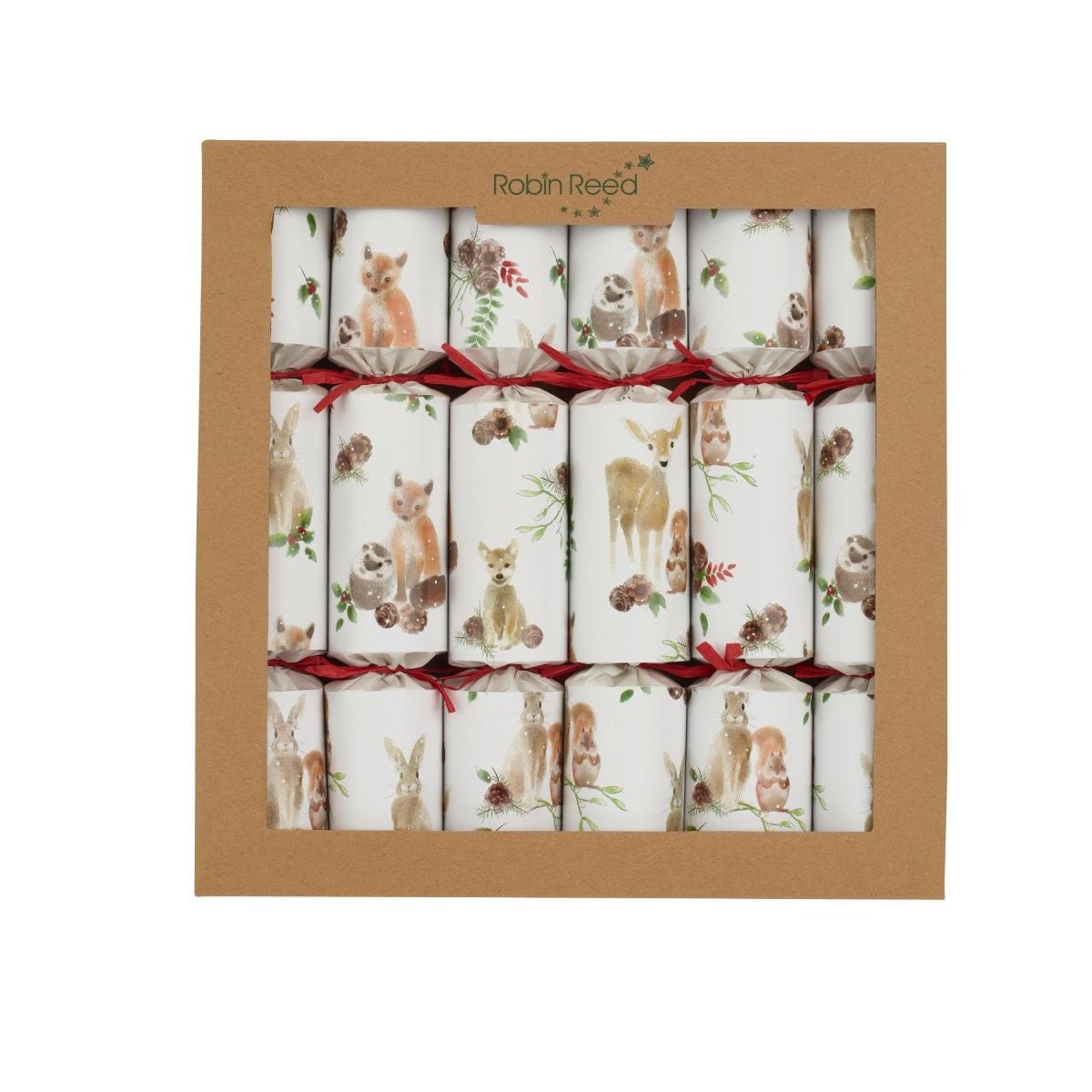 Flower Seeds 12" Eco Adult's Crackers (6 pack)