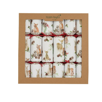 Flower Seeds 12" Eco Adult's Crackers (6 pack)