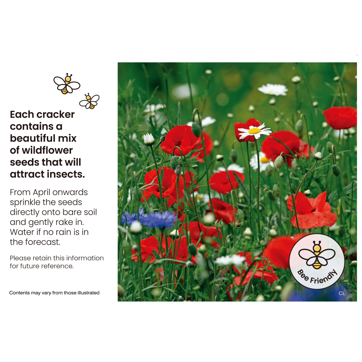 Flower Seeds 12" Eco Adult's Crackers (6 pack)