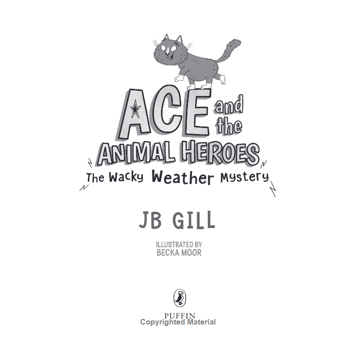 J B Gill: Ace & the Animal Heroes - The Wacky Weather Mystery (2)