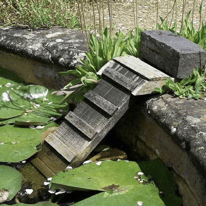 Hedgehog Ladder FSC 100%